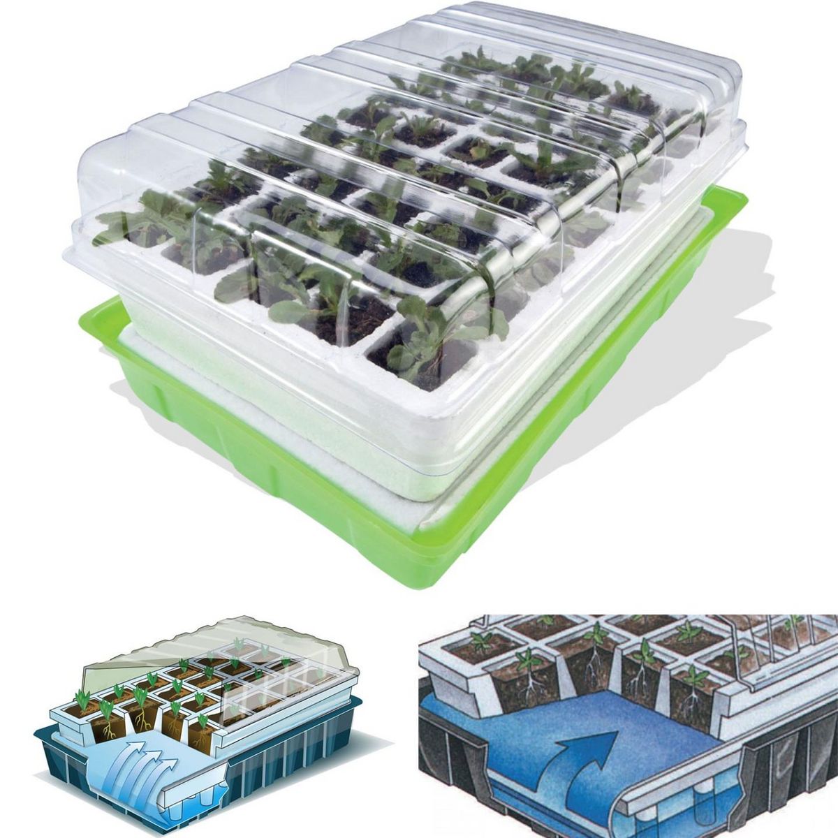 ID MARKET Kit de germination 40 godets lot x2 pour semis