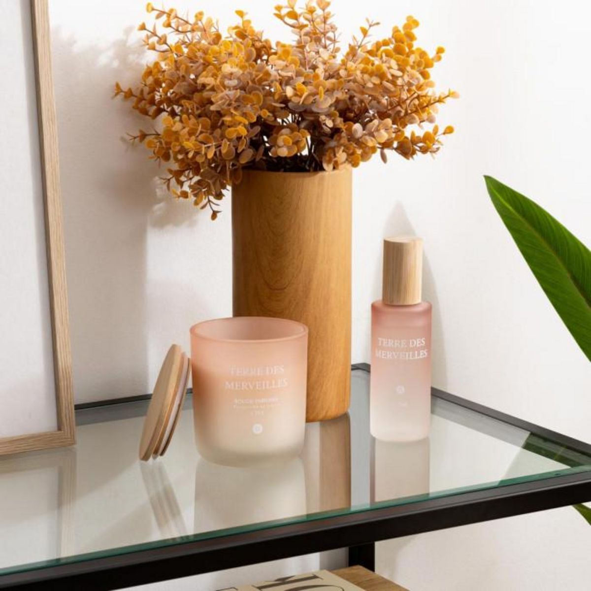 ATMOSPHERA Bougie Parfumée en Verre  Sana  255g Terre des Merveilles