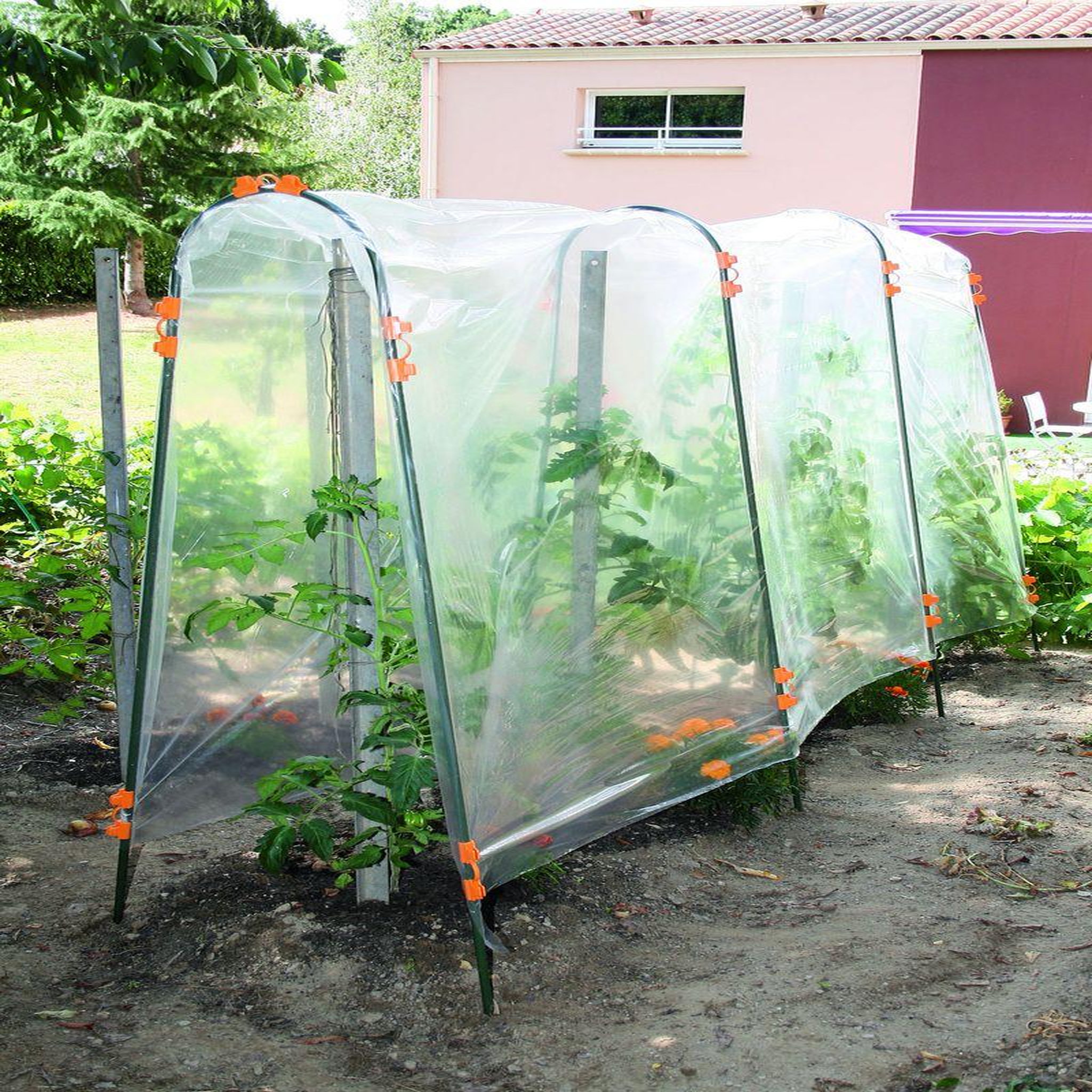 Nortene Film de forçage tunnel tomates   Tomato Film  - 3 x 3,50 m