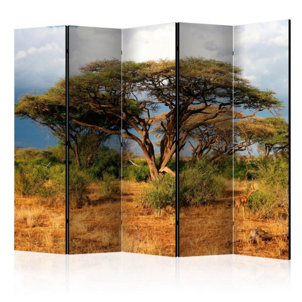 Paris Prix Paravent 5 Volets  Samburu National Reserve, Kenya  172x225cm
