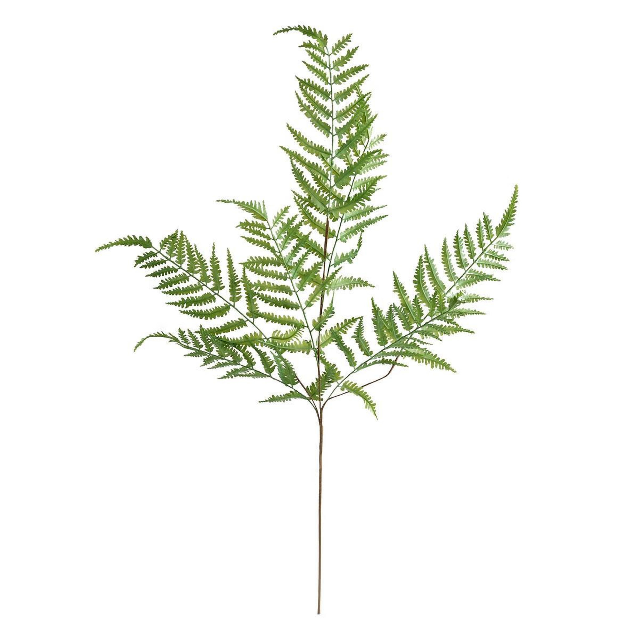 ATMOSPHERA Tige artificielle fougère  james  90cm vert