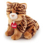 Voir la diapositive 1 : Trudi - Chat Brad Animalier