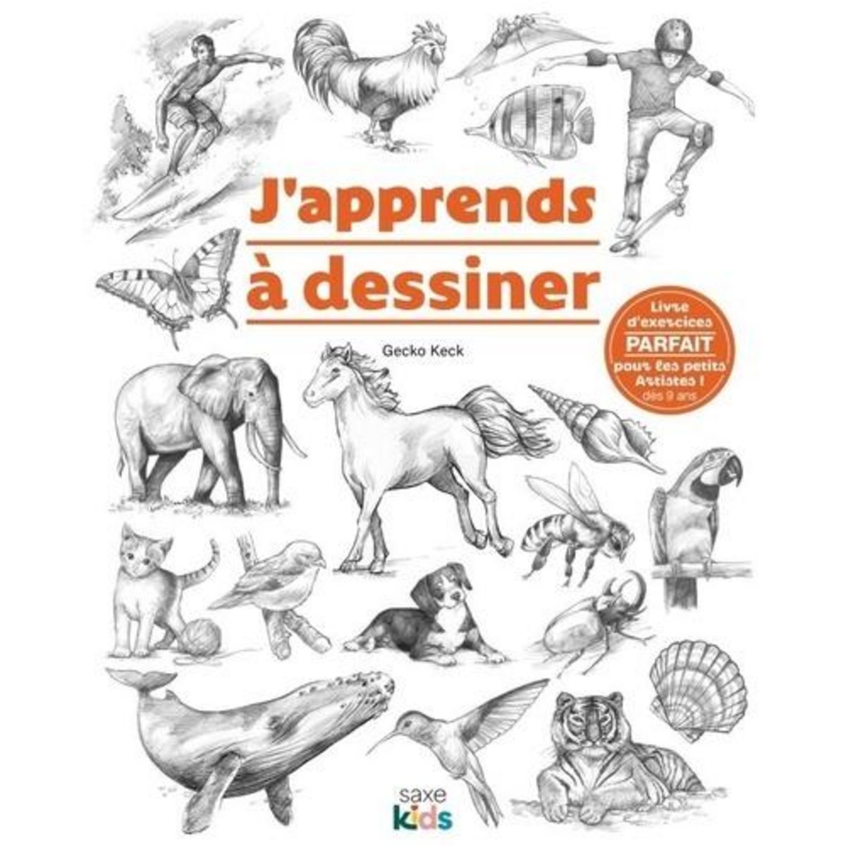 J'APPRENDS A DESSINER, Keck Gecko