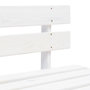 Voir la diapositive 4 : VIDAXL Canape central palette de jardin Blanc Bois de pin impregne