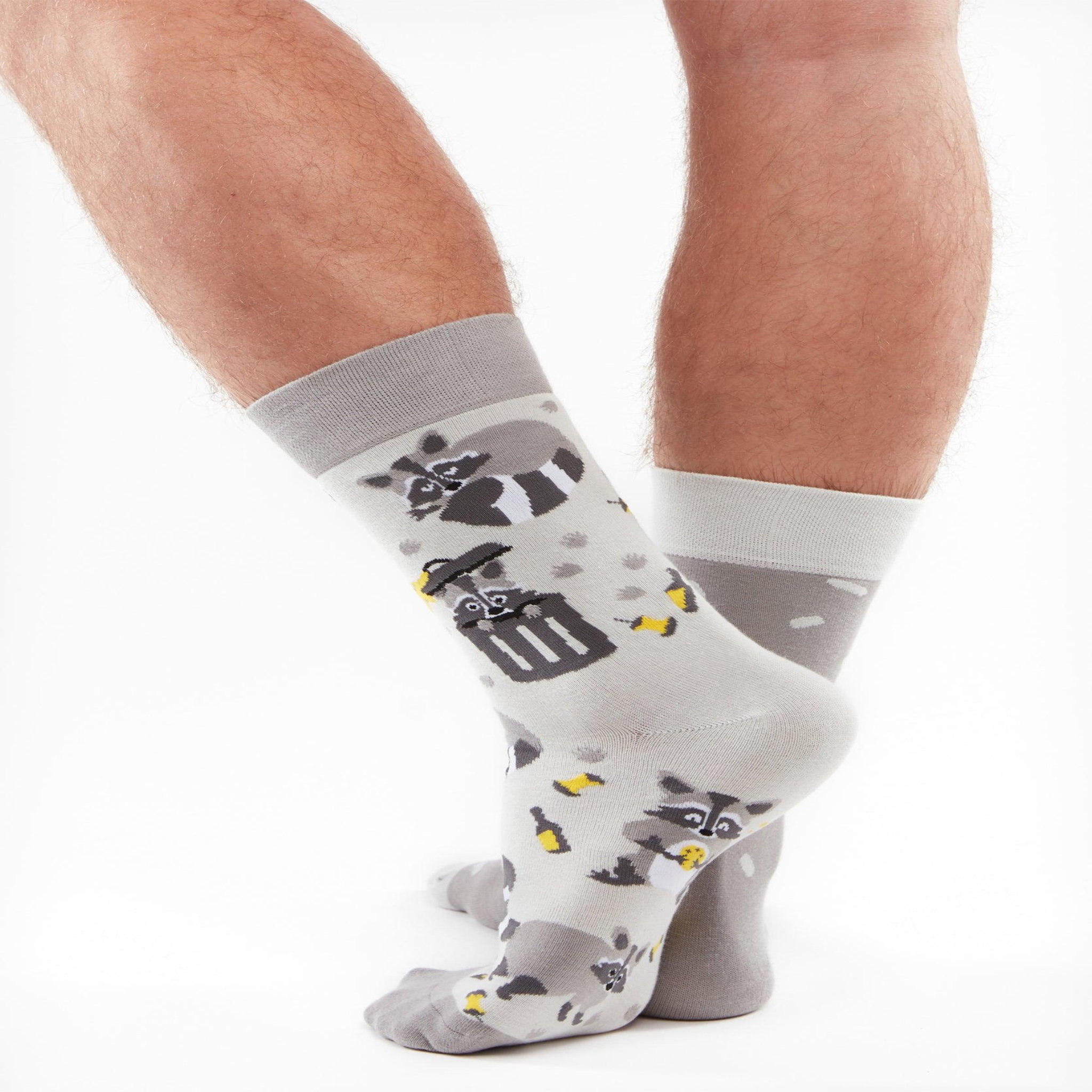 Voir la diapositive 3 : DEDOLES Chaussettes raton laveur