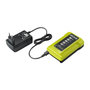 Voir la diapositive 3 : Ryobi Chargeur RYOBI 36V Lithium-ion 1.7Ah RY36C17A