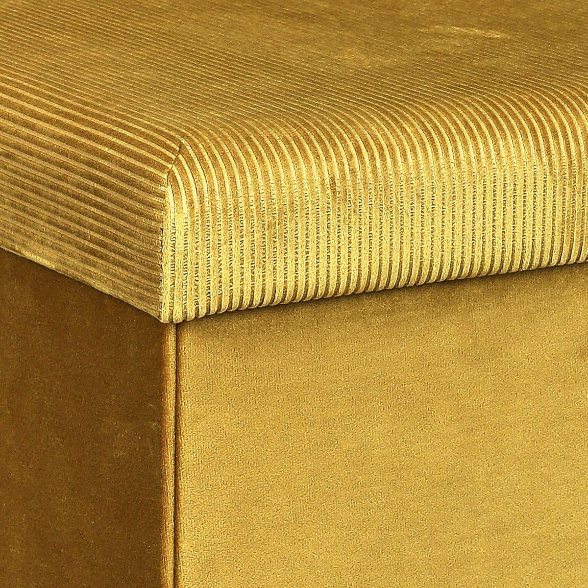 The Home Deco Factory Pouf coffre pliable en velours design Giulia