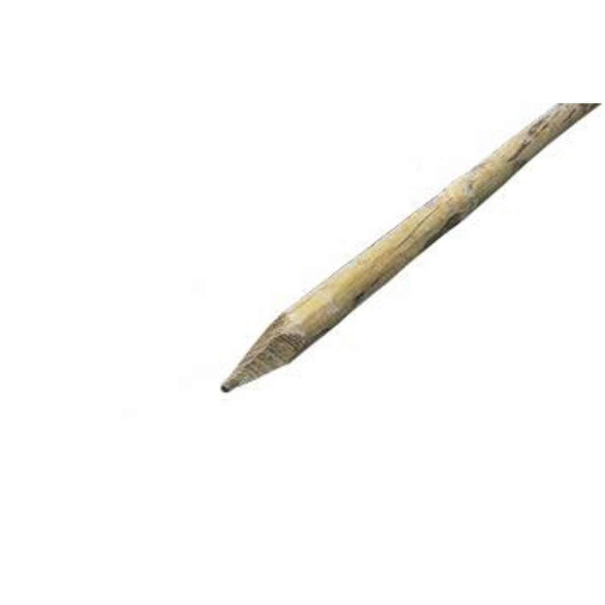 CENTRALE BRICO Piquet bois écorcé, l.5 x P.5 x H.200 cm