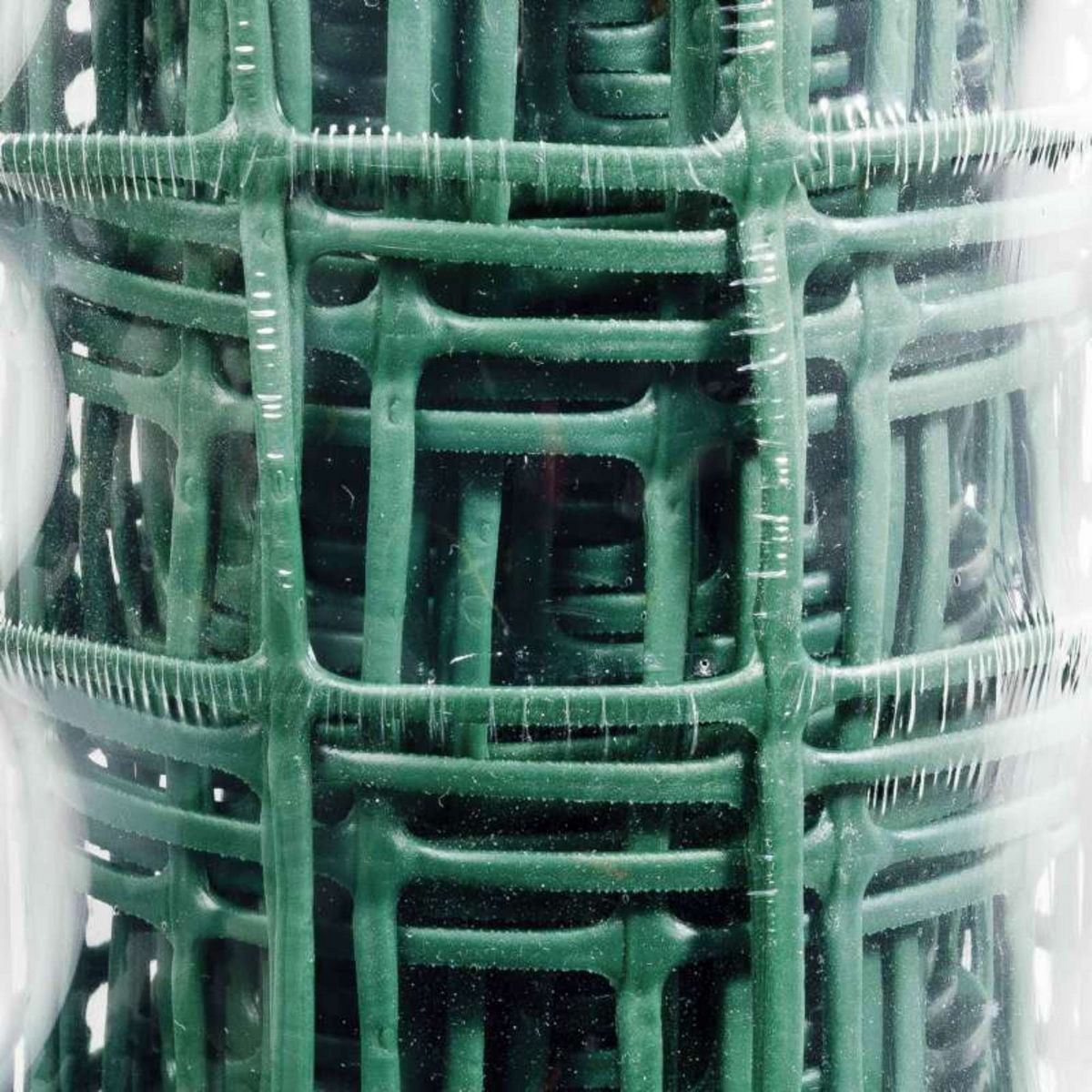 Tenax Grillage pour plante grimpante  Taille 1 x 5 m