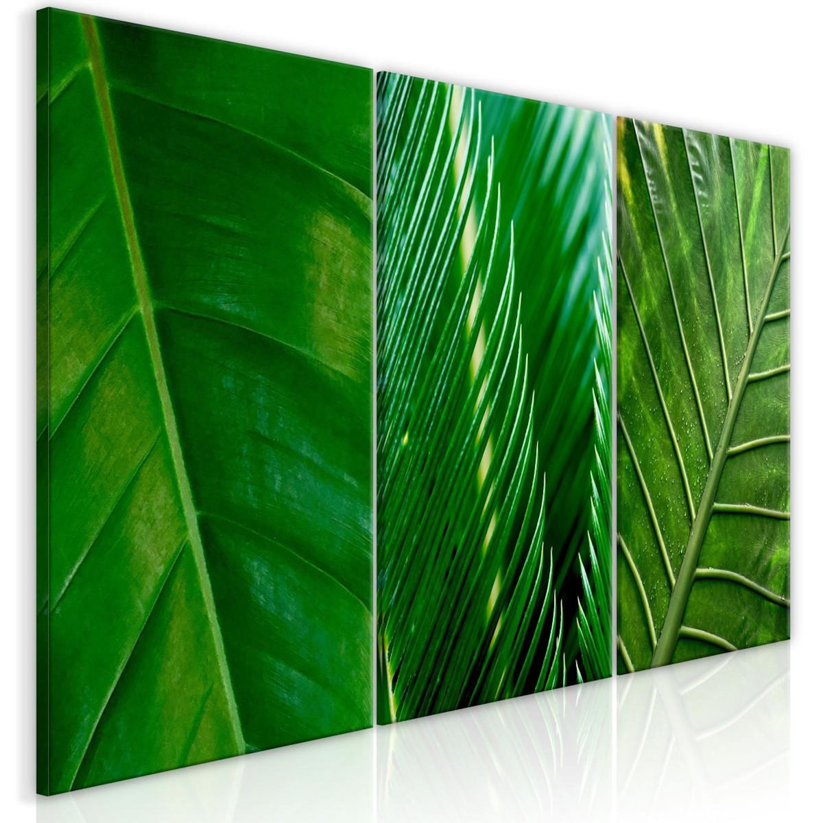 Paris Prix Tableau Imprimé  Leaves Collection