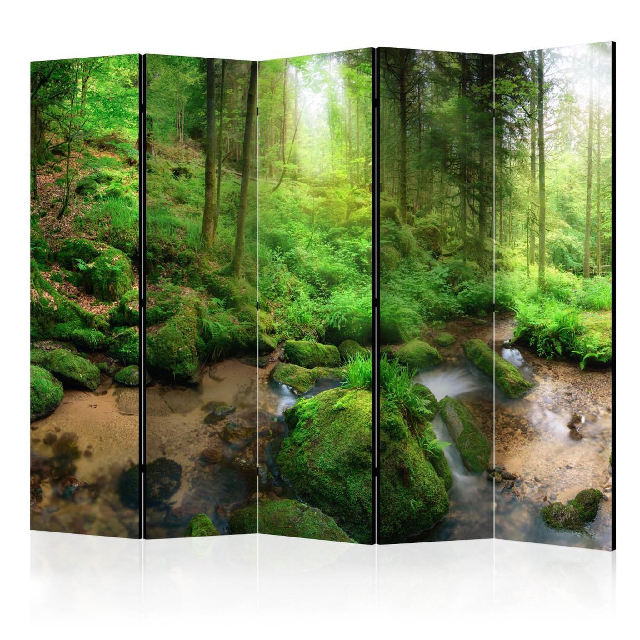 Paris Prix Paravent 5 volets  humid forest  172x225cm