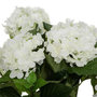 Voir la diapositive 2 : ATMOSPHERA Plante Artificielle  Hortensia  61cm Blanc