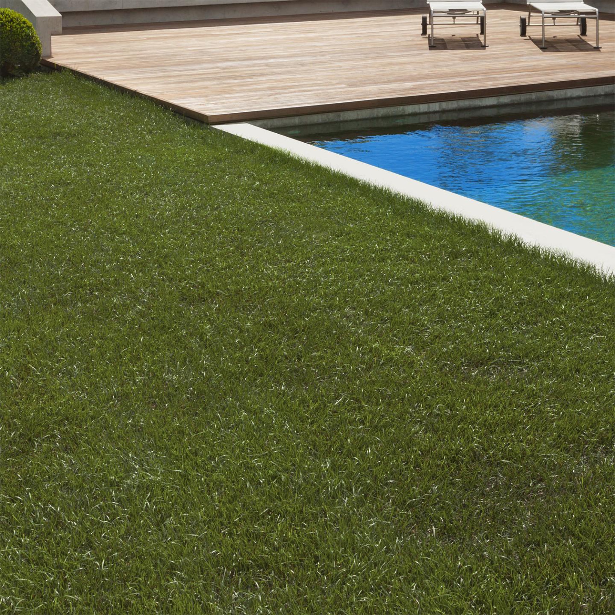 Voir la diapositive 2 : ID MARKET Gazon synthétique artificiel 1x10 M 40 mm d'épaisseur pour jardin et balcon