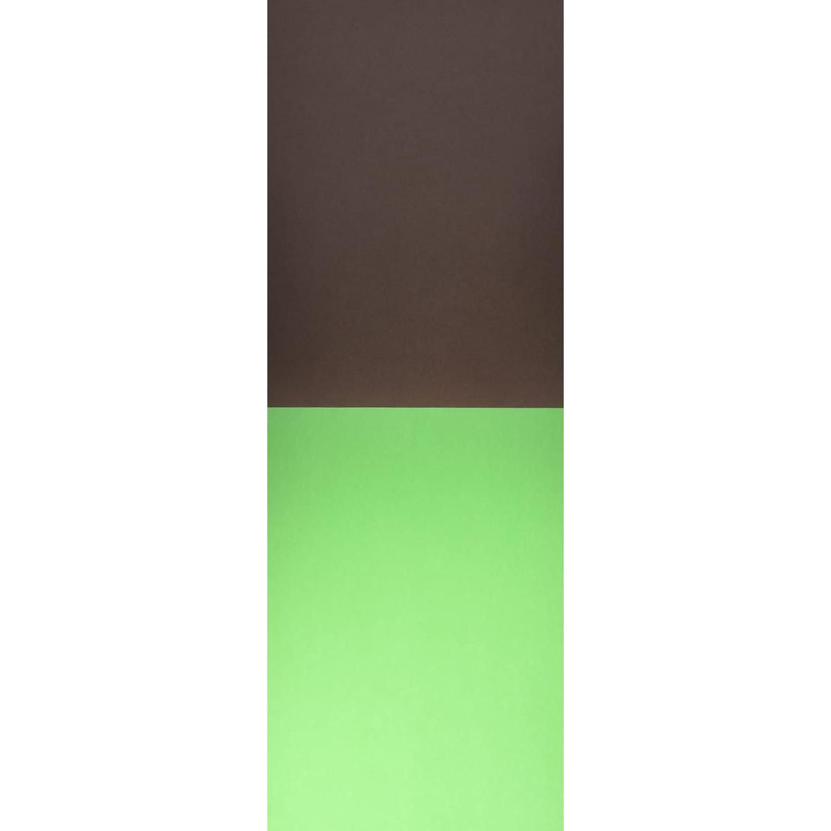 Apli Agipa Bloc de carton 10 feuilles couleurs