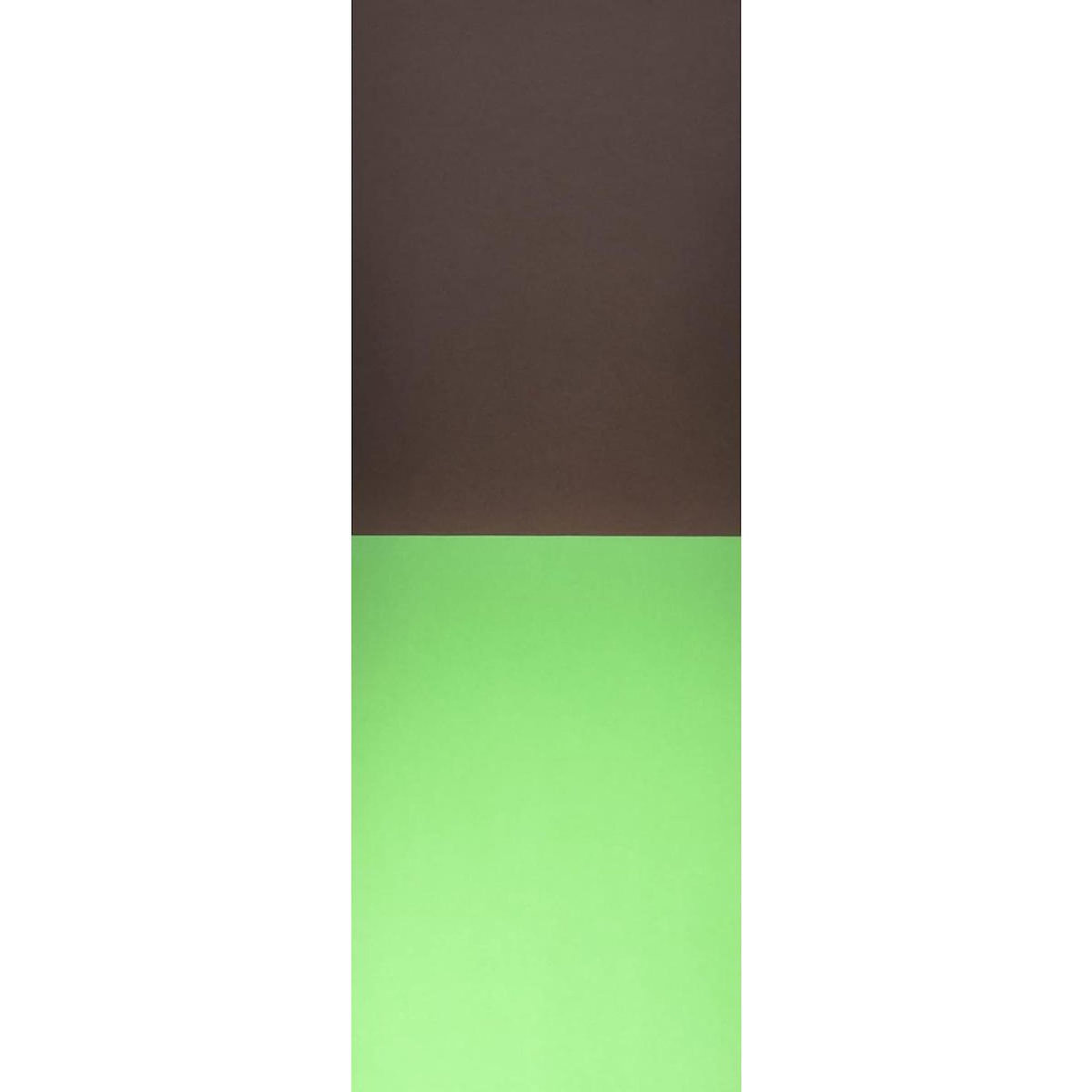 Apli Agipa Bloc de carton 10 feuilles couleurs