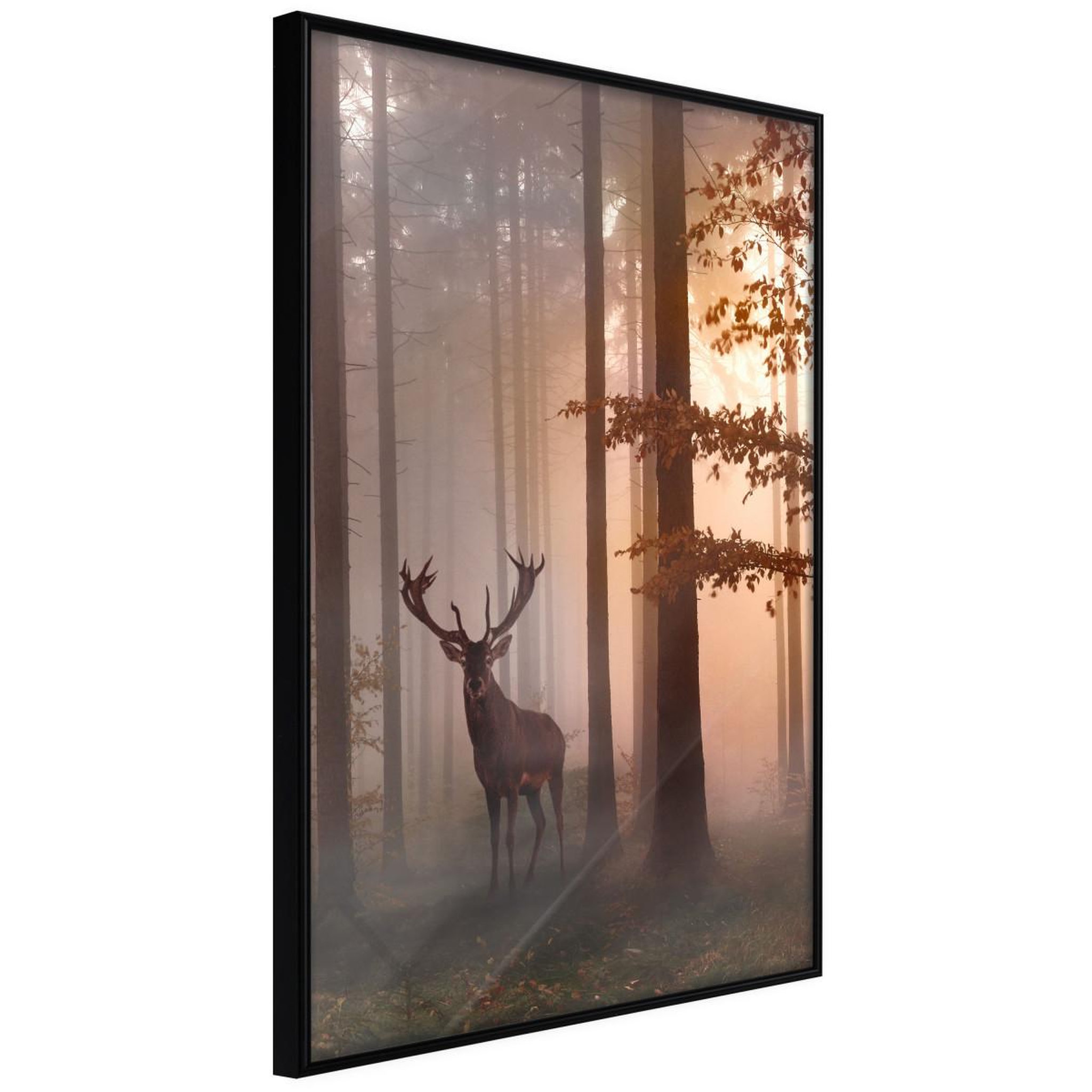 Paris Prix Affiche murale encadrée  forest seclusion