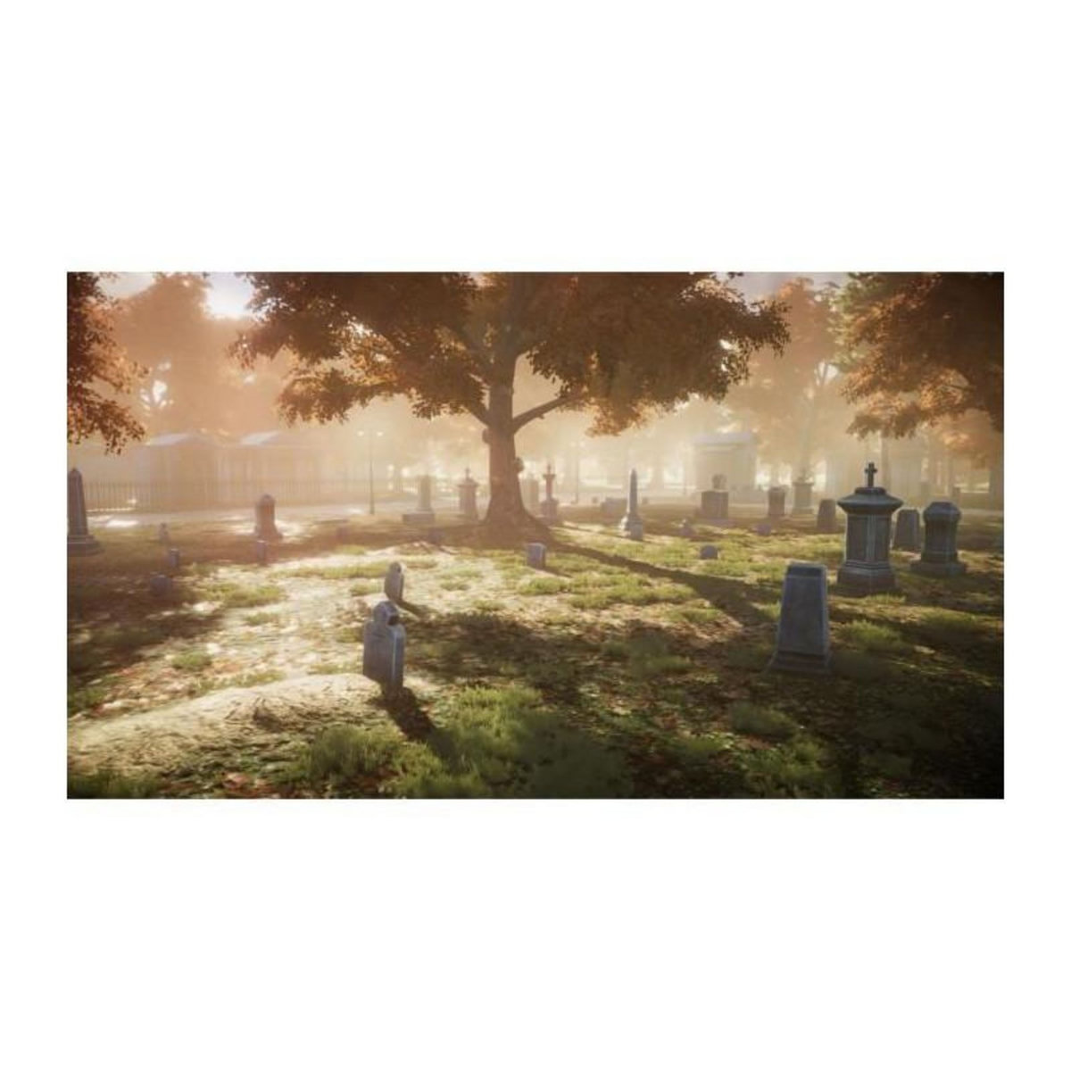 MICROIDS Blacksad Under The Skin - Jeu Xbox Series X et Xbox One