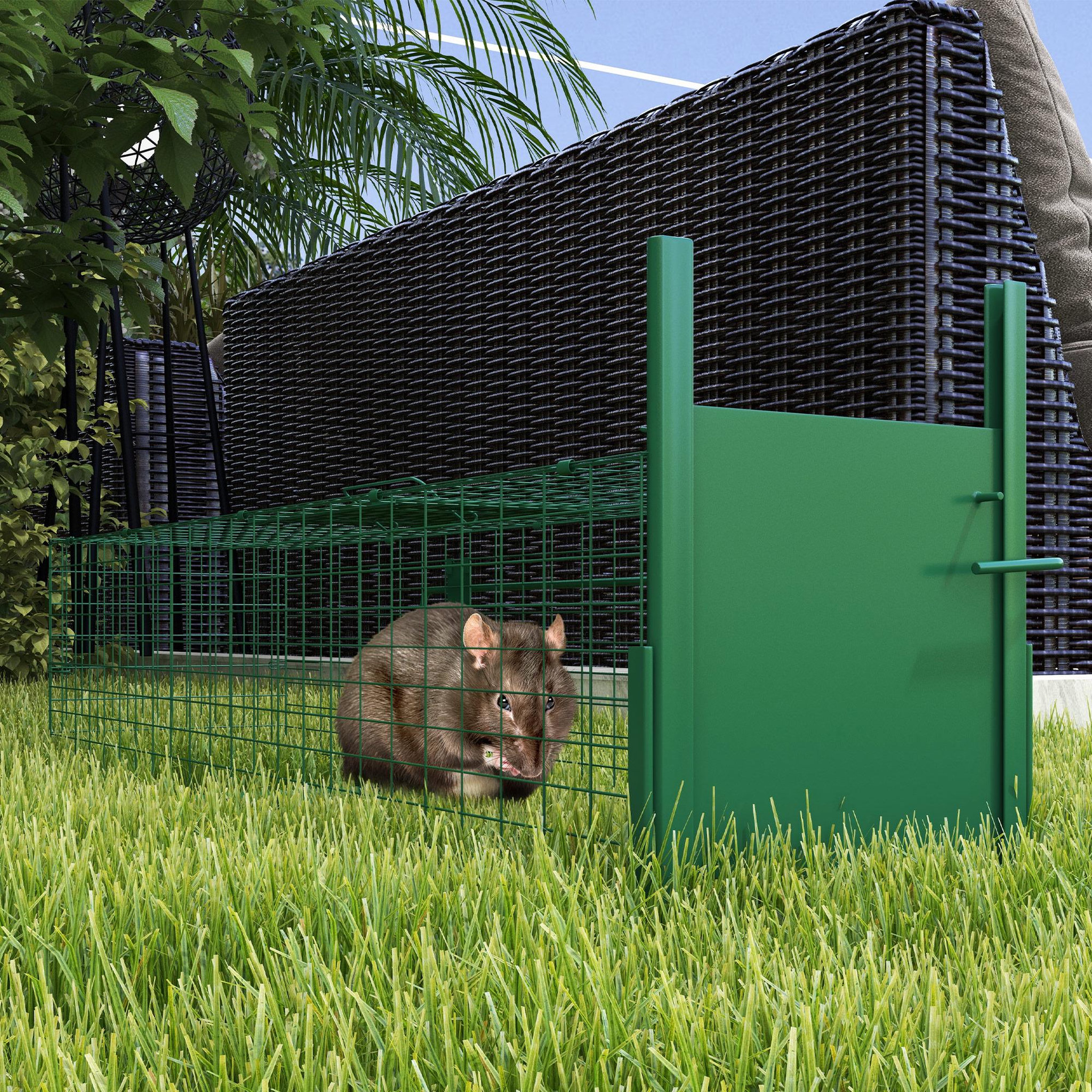 Voir la diapositive 2 : OUTSUNNY Piège de capture pour petits animaux type lapin rat - entrée, poignée - dim. 100L x 25l x 28H cm - acier vert