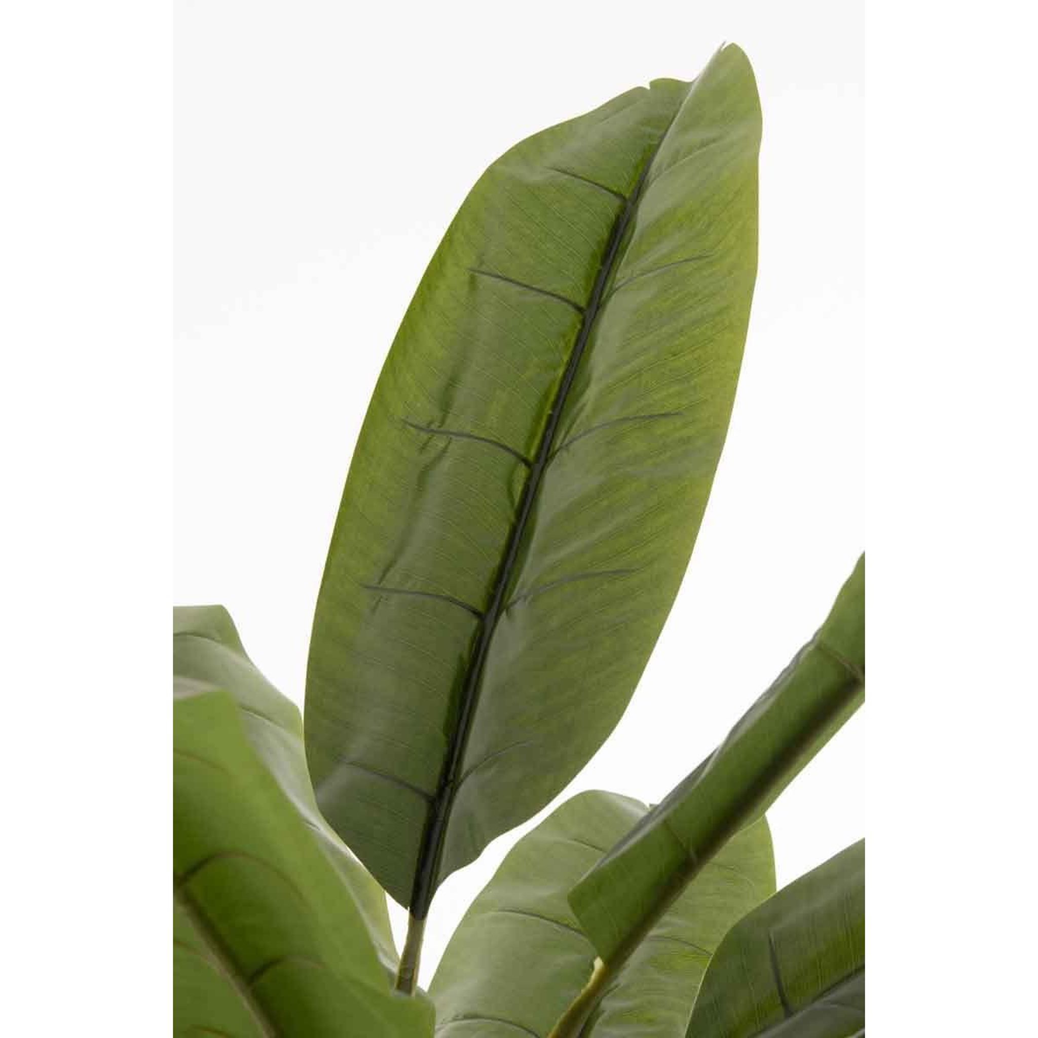 Voir la diapositive 3 : J-LINE Plante artificielle en pot  ficus  129cm vert & noir