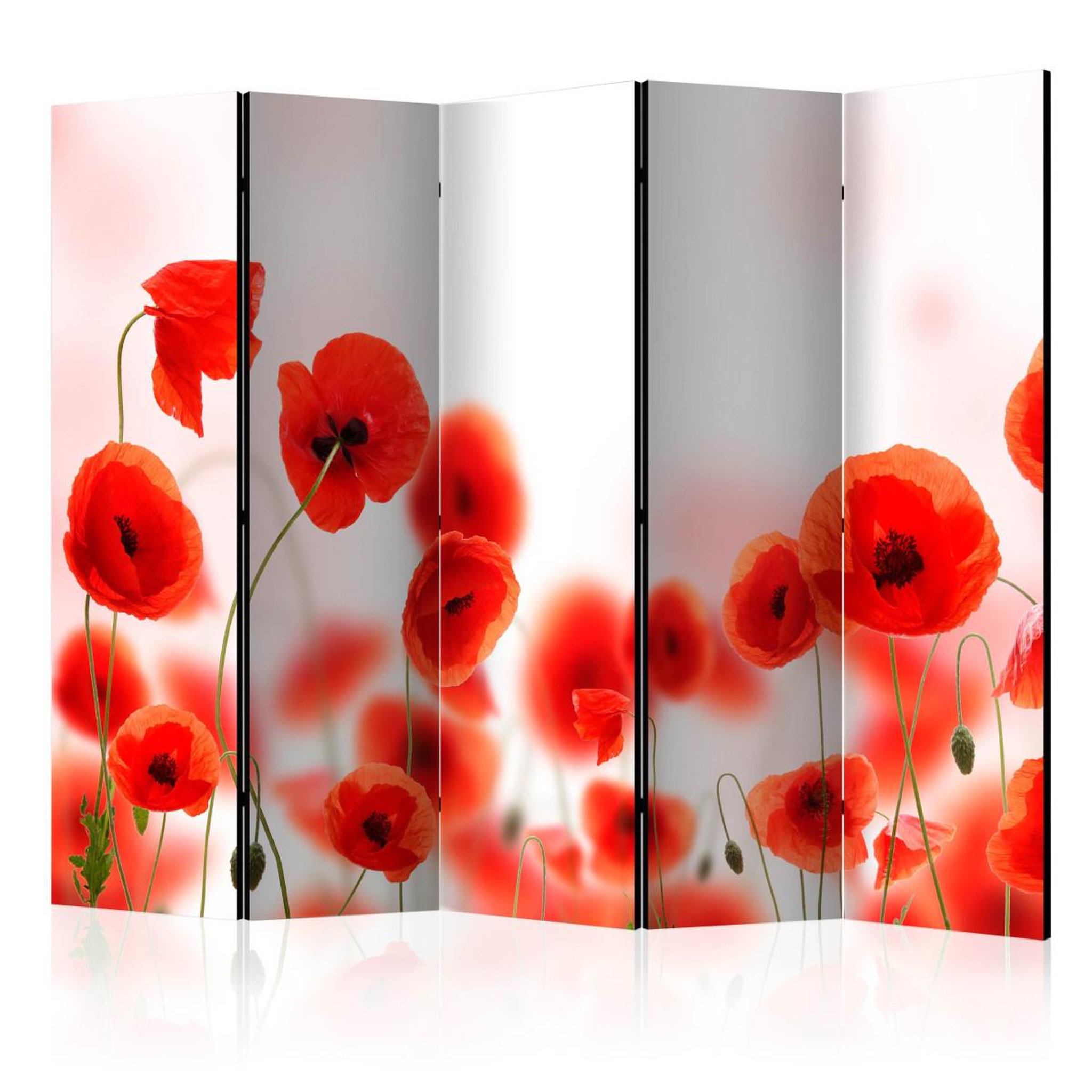 Paris Prix Paravent 5 volets  sleepy poppy's land  172x225cm