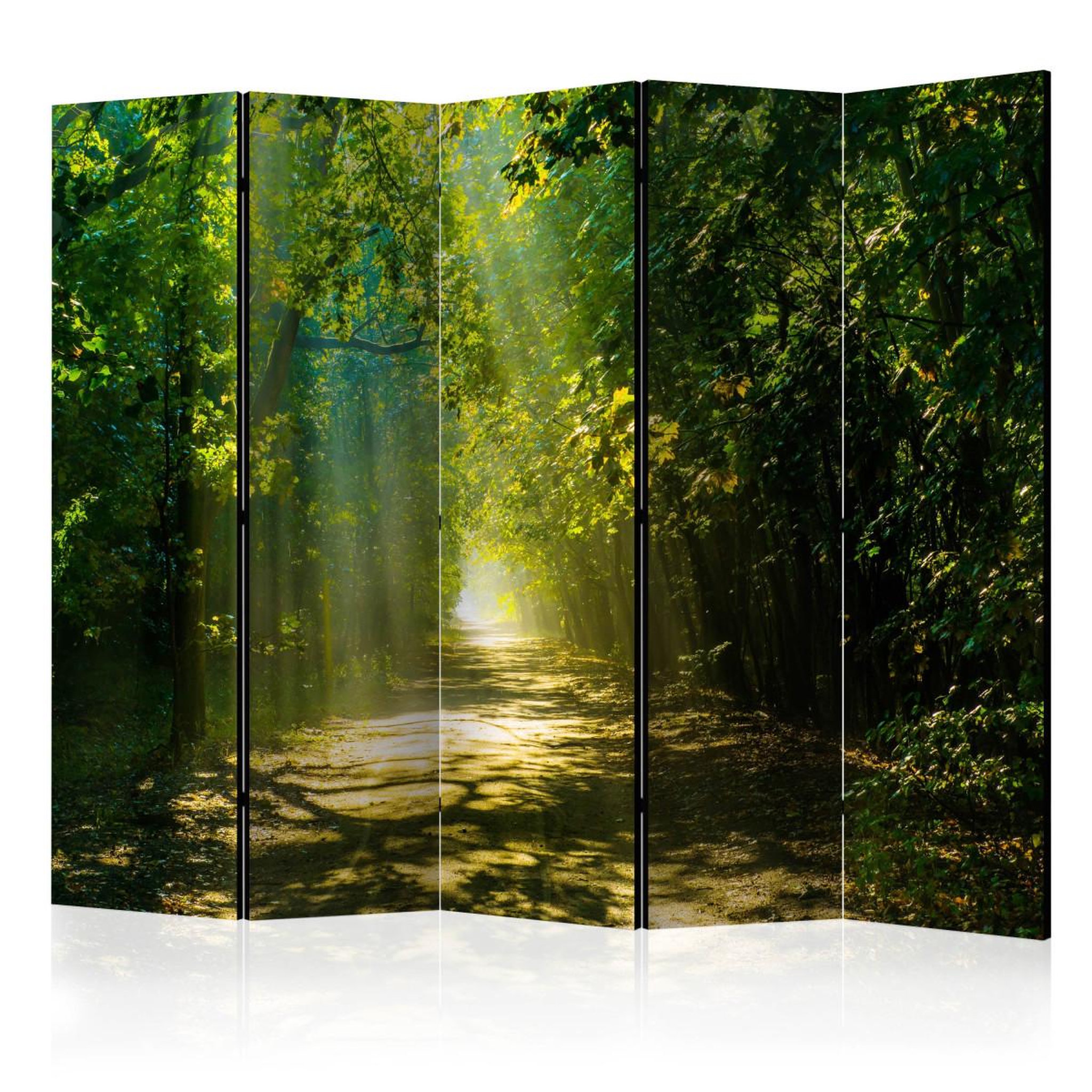 Paris Prix Paravent 5 volets  road in sunlight  172x225cm