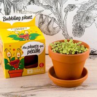 Kit de jardinage : Pot céramique Trèfle à 4 feuilles pas cher