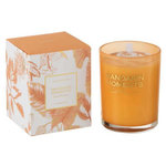 Paris Prix Bougie Parfumée  Moments  13cm Douce Mandarine