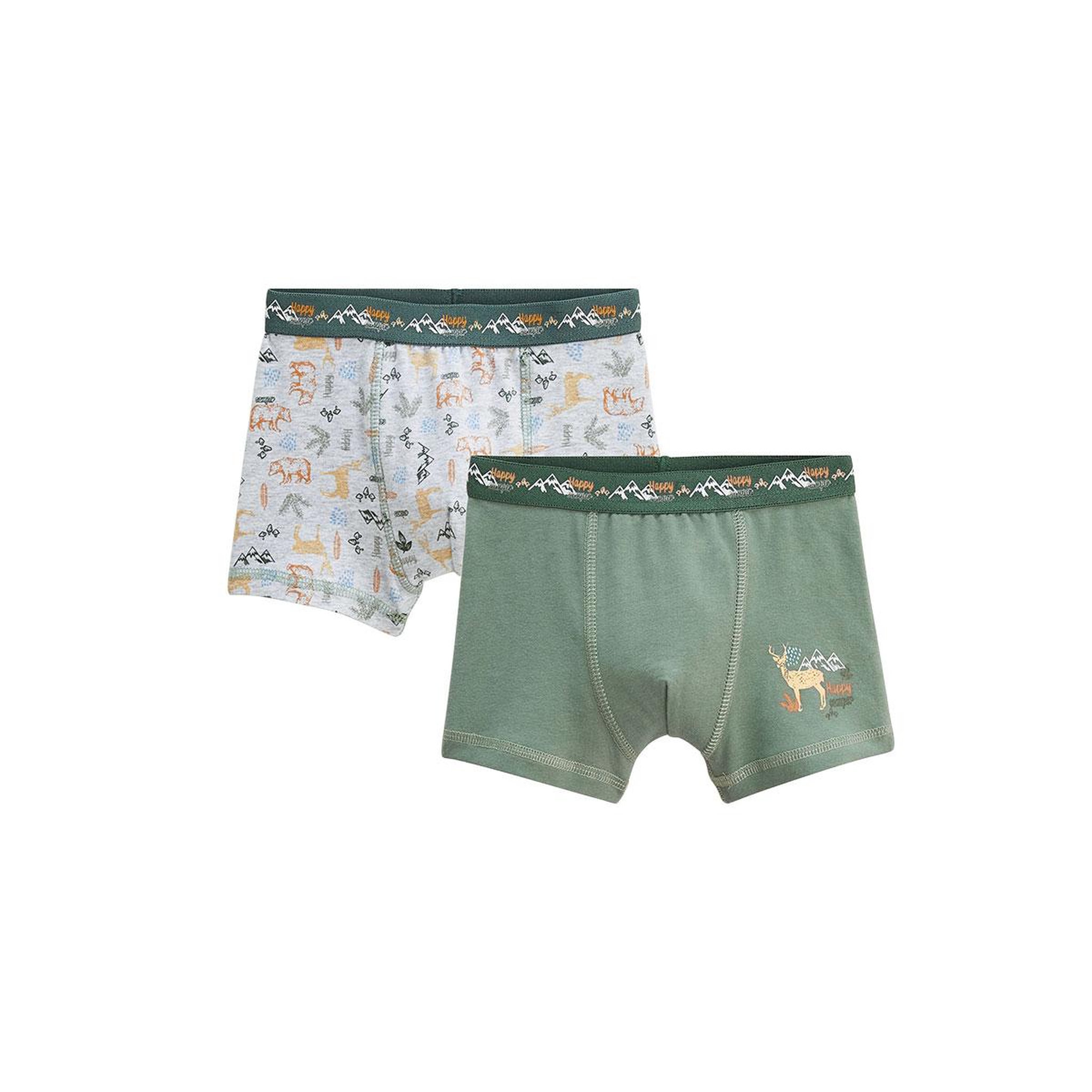 Voir la diapositive 1 : Petit Béguin Lot de 2 boxers garçon Forest