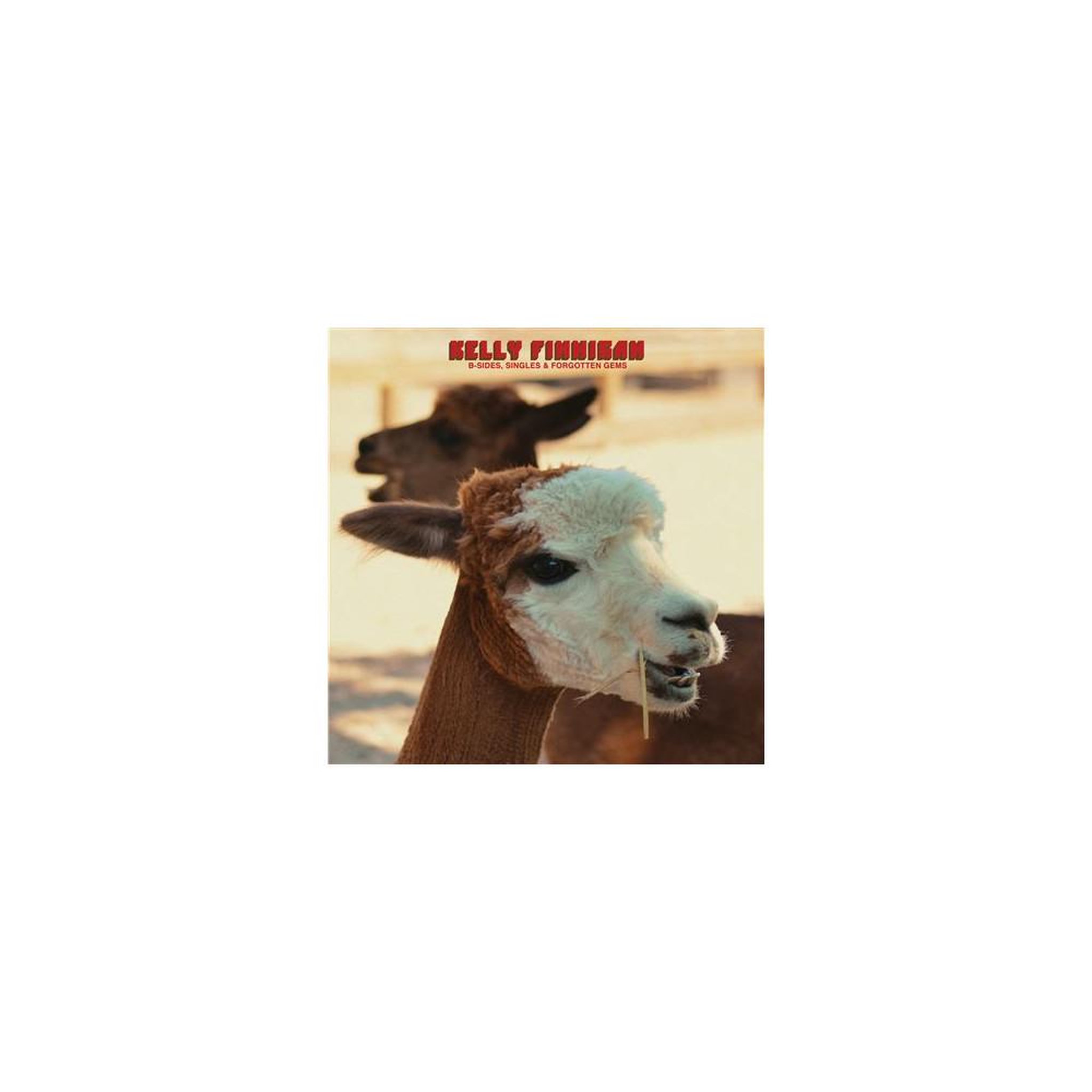 Album vinyle 33t b-sides, singles & forgotten gems de kelly finnigan (soul, funk, r'n'b)
