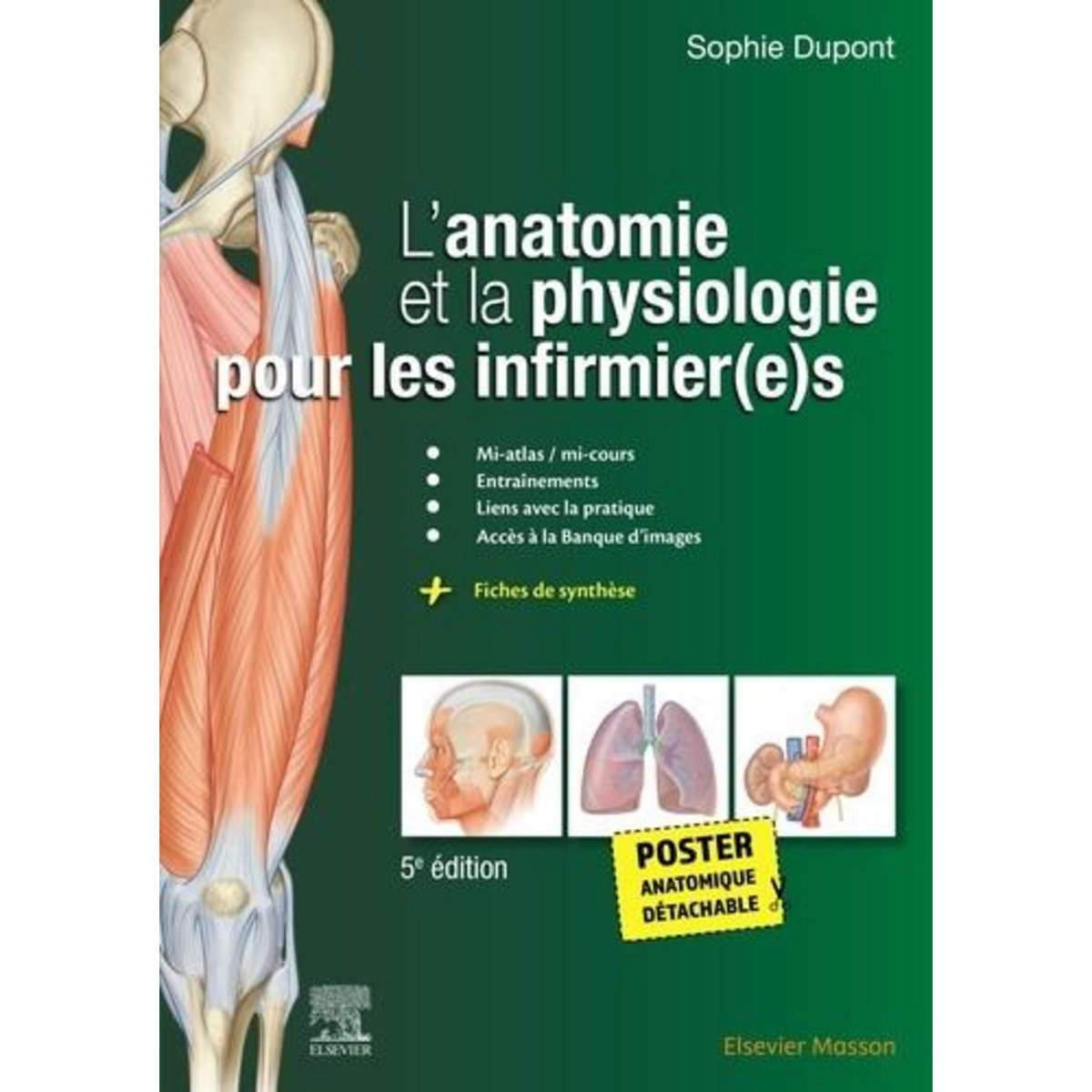 L'ANATOMIE ET LA PHYSIOLOGIE POUR LES INFIRMIER(E)S. AVEC 1 POSTER ANATOMIQUE DETACHABLE, 5E EDITION, Dupont Sophie