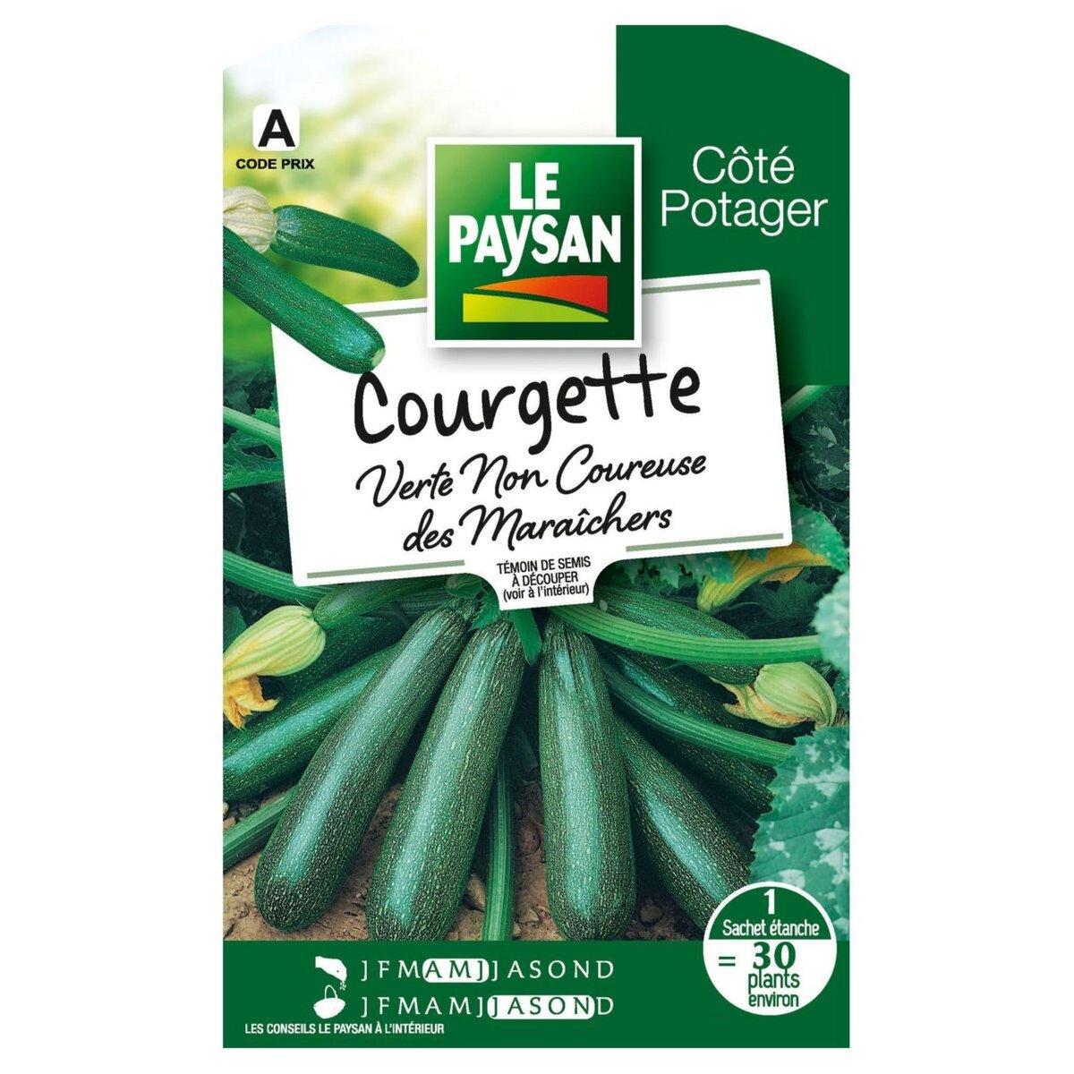 LE PAYSAN Semence potagère courgette verte x1 1 pièce