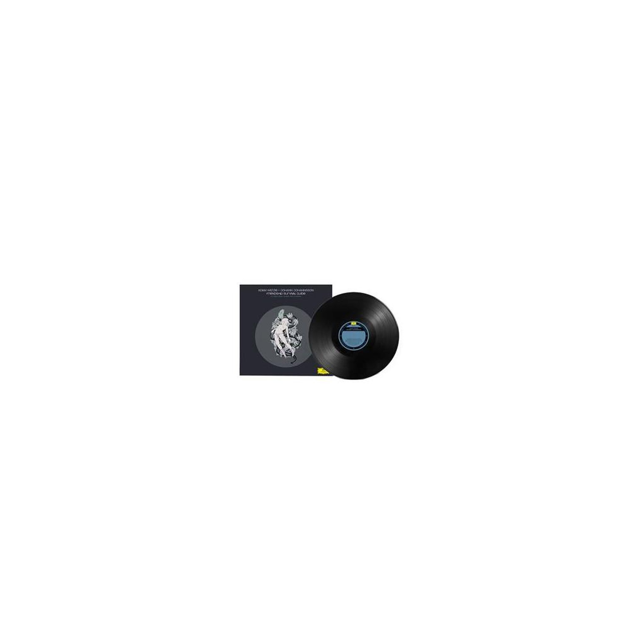 Vinyle 33t adam wiltzie – friendship survival guide (neoclassical, musique classique contemporaine)