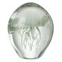 Voir la diapositive 1 : Paris Prix Presse-Papier en Verre Méduses  Calypso  12cm Vert