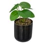  Plante Artificielle en Pot  Reac  16cm Noir & Vert