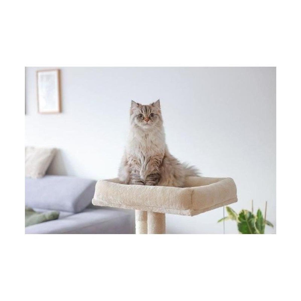 KERBL Arbre a chat 100 cm - ALESSIA - KERBL - Moelleux - Alcôve a deux étages