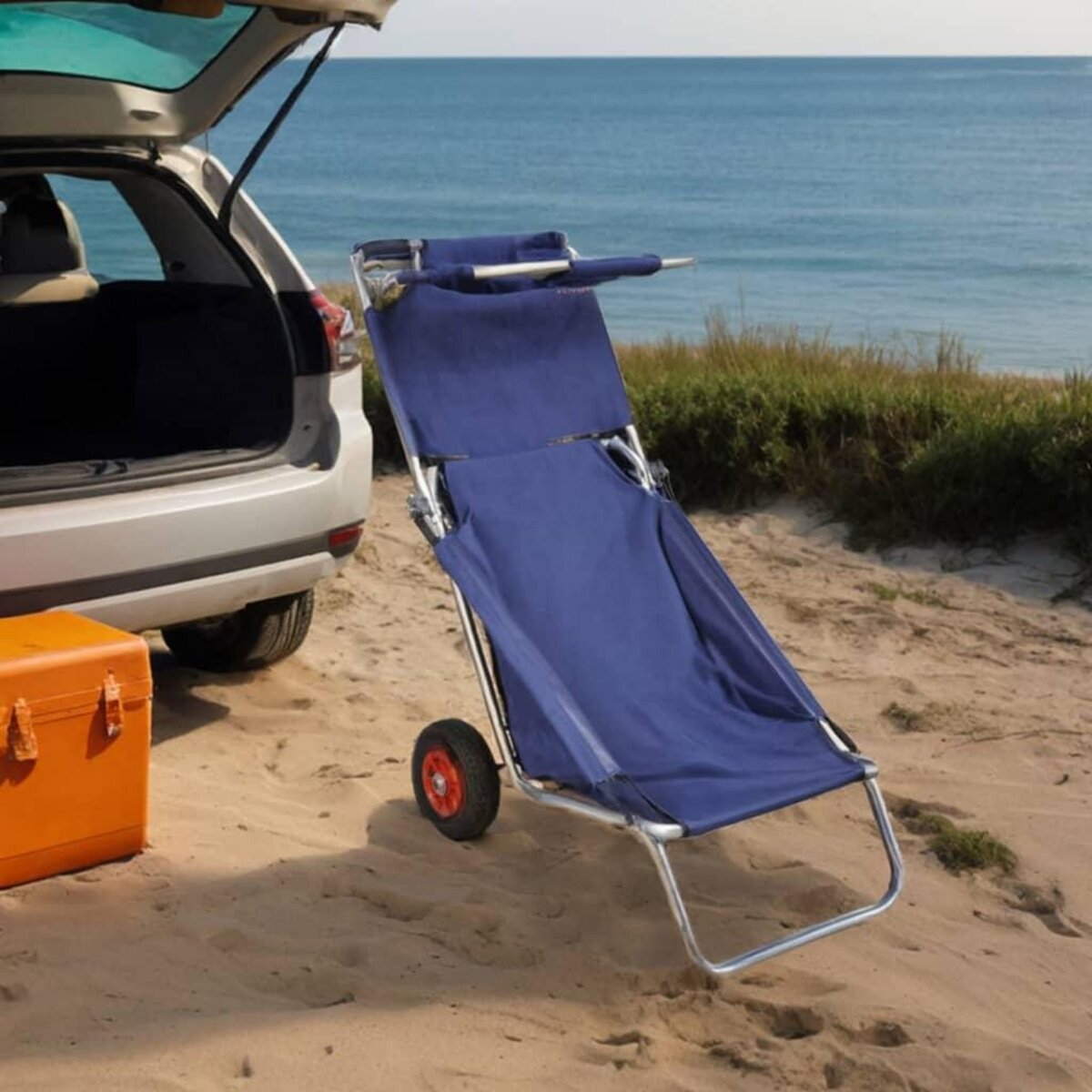 VIDAXL Chariot de plage avec roues portable et pliable Bleu
