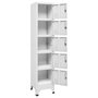 Voir la diapositive 5 : VIDAXL Armoire a casiers Blanc 38x40x180 cm Acier