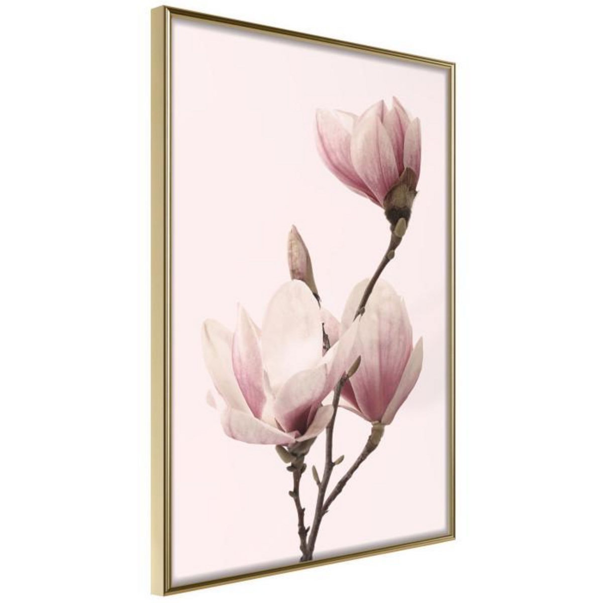 Paris Prix Affiche Murale Encadrée  Blooming Magnolias III