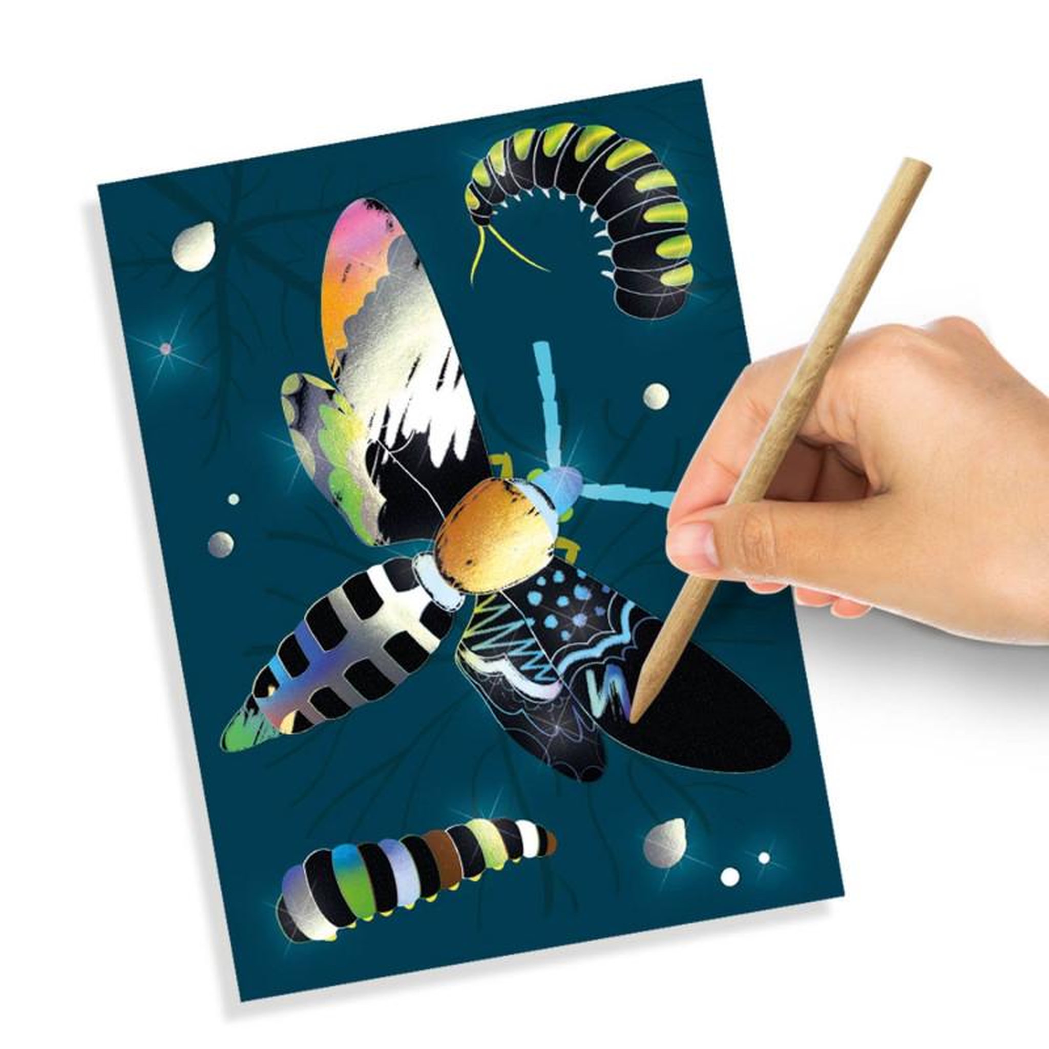 Voir la diapositive 3 : SES SES Dessins holographiques à gratter - Insectes