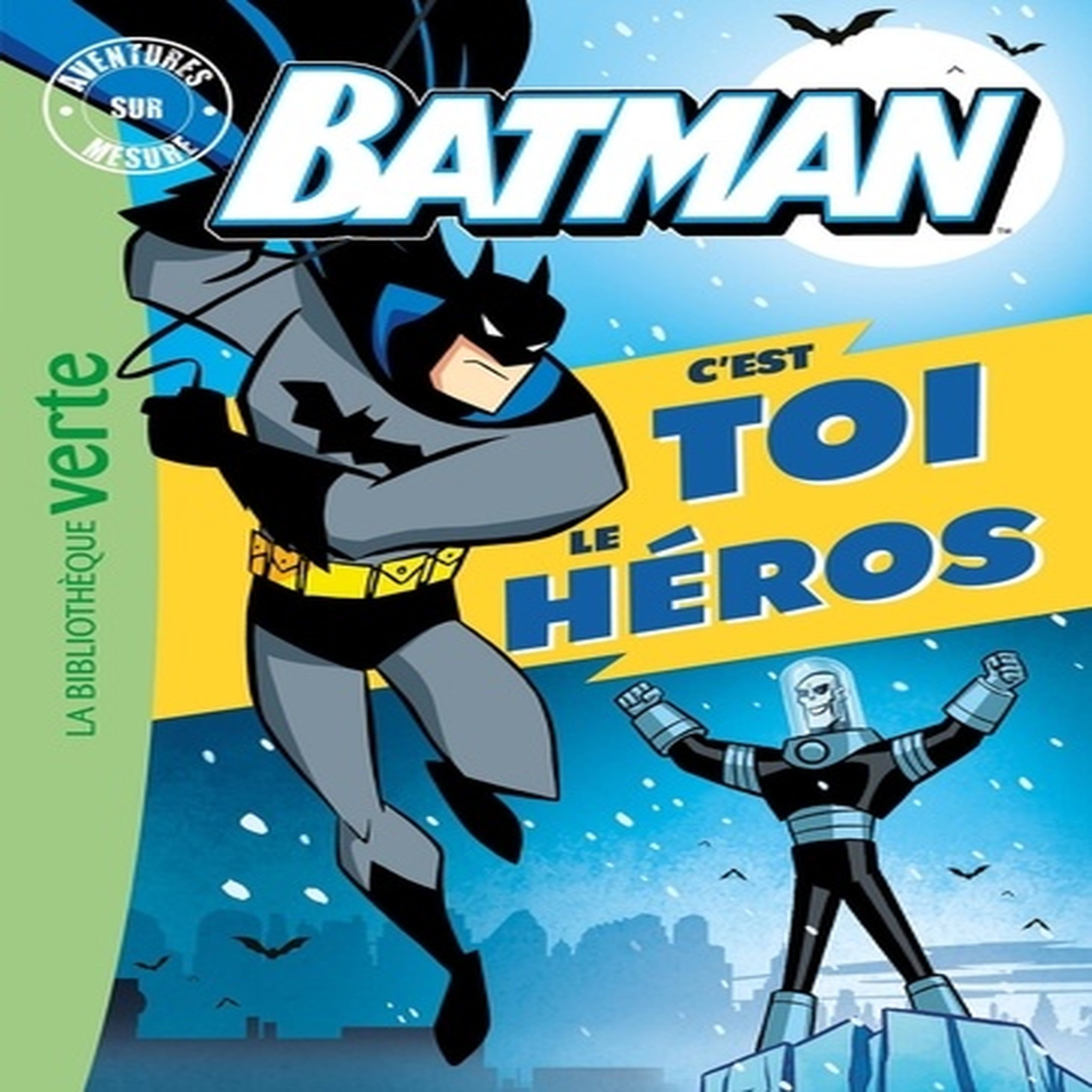  BATMAN, C'EST TOI LE HEROS. AVENTURES SUR MESURE, Terrell Brandon