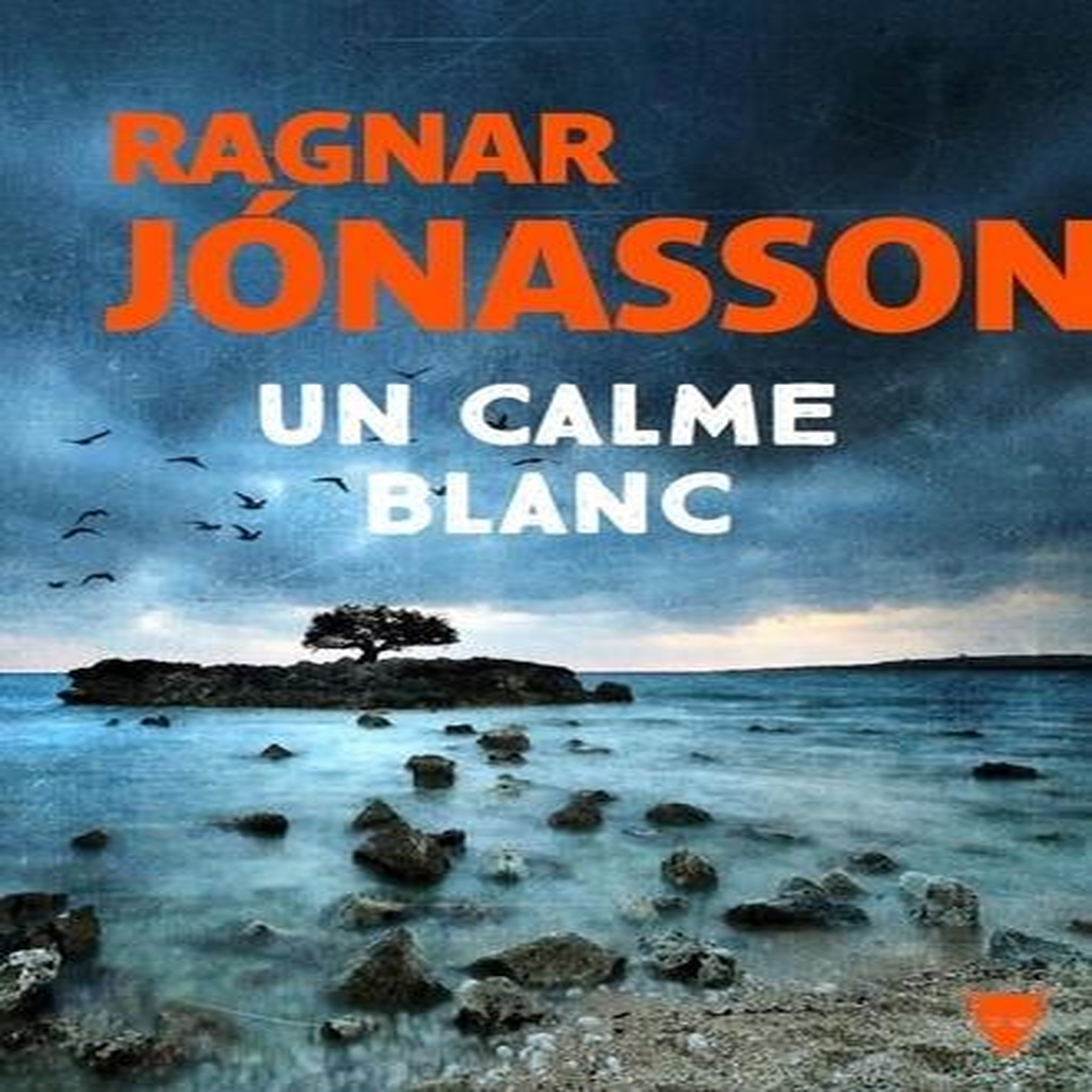 LA TRILOGIE BLANCHE TOME 2 : UN CALME BLANC, Jónasson Ragnar