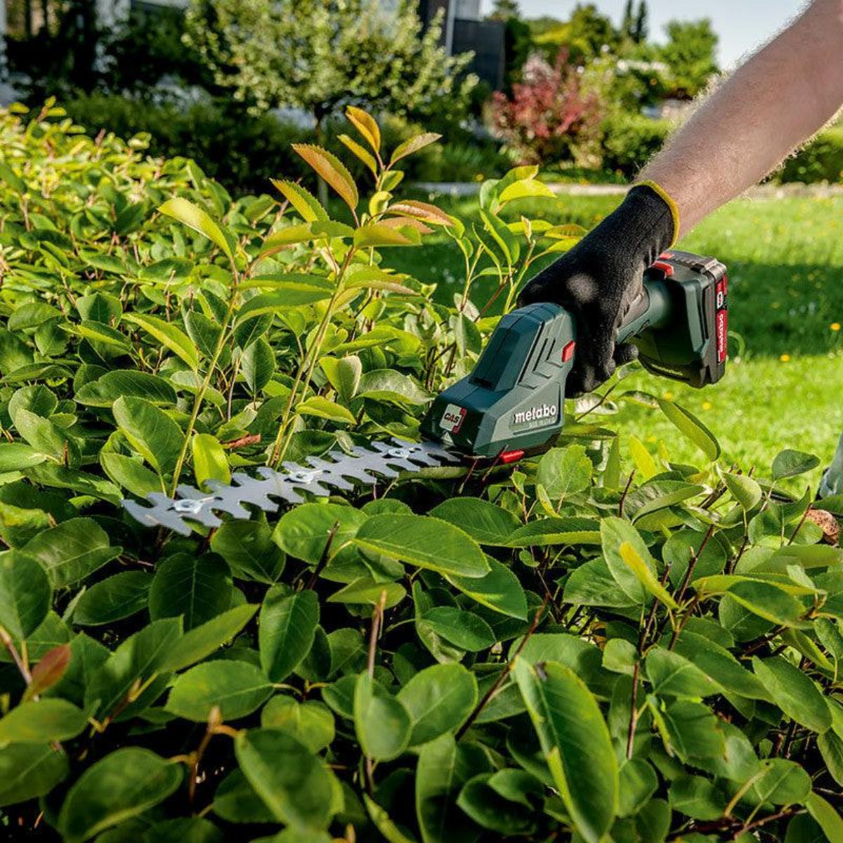 METABO SAS Taille-bordures 18 V SGS 18 LTX Q - Pick+Mix (sans batterie), Metabox