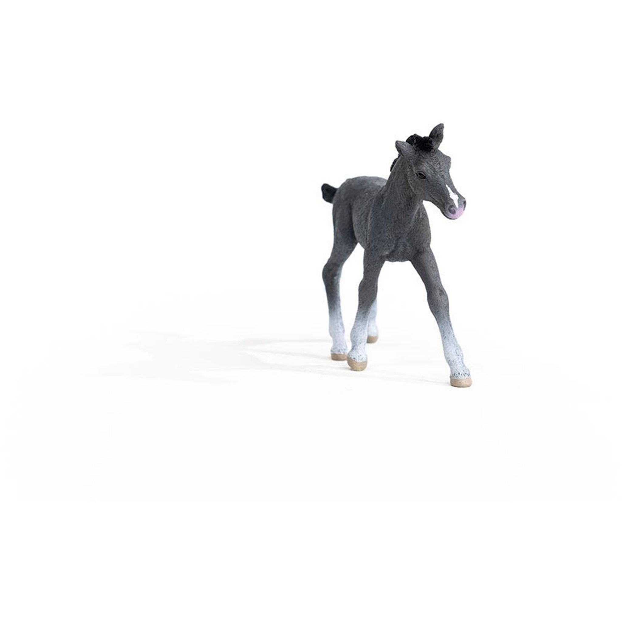 Voir la diapositive 3 : Schleich Horse Club Poulain Trakehnen