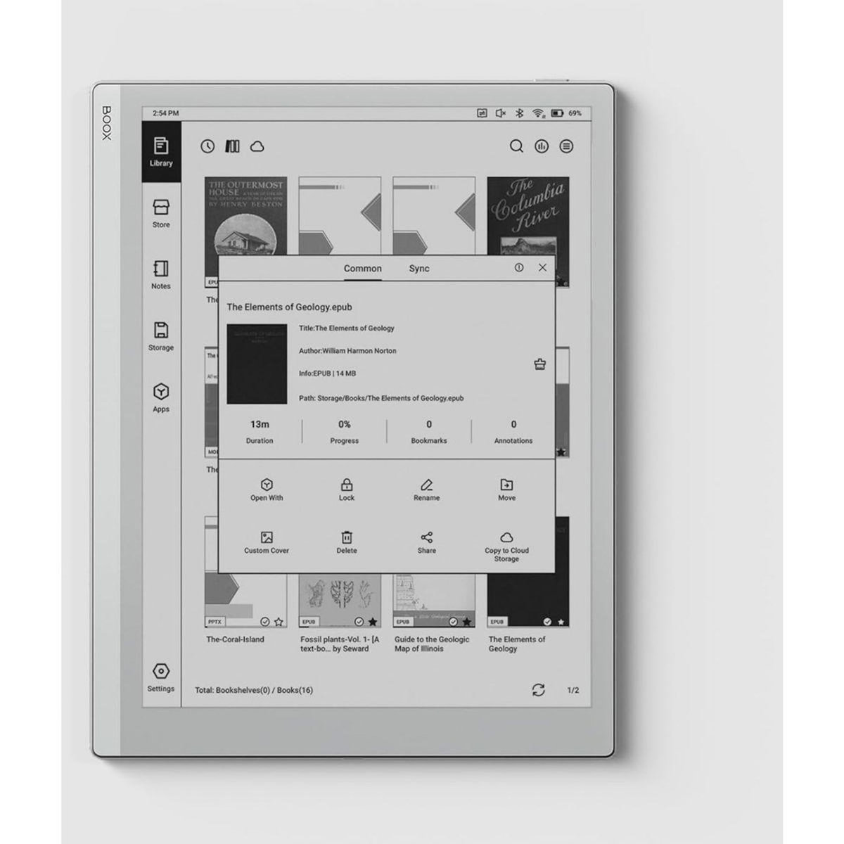 BOOX Liseuse eBook Go 10.3