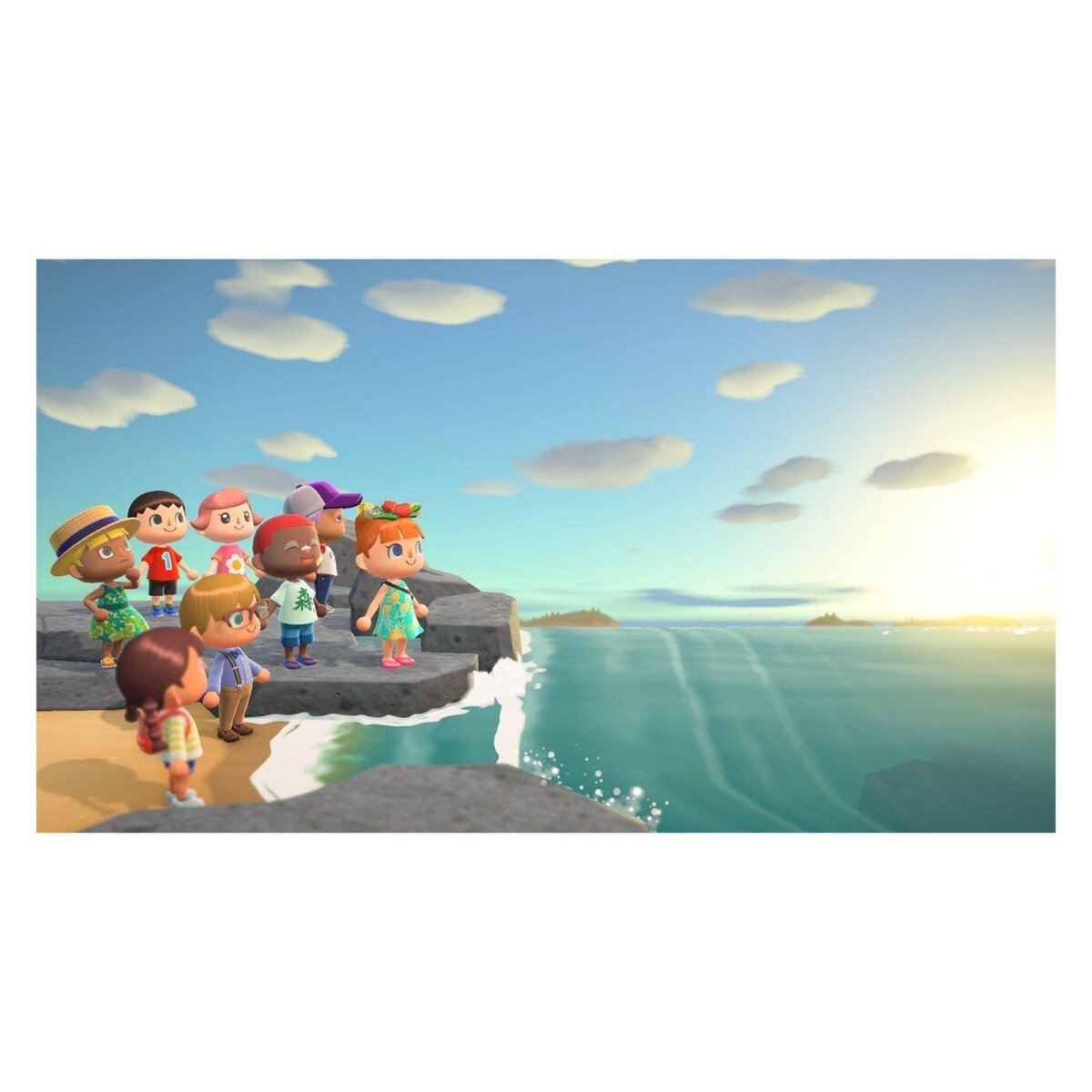 NINTENDO Animal Crossing : New Horizons Nintendo Switch