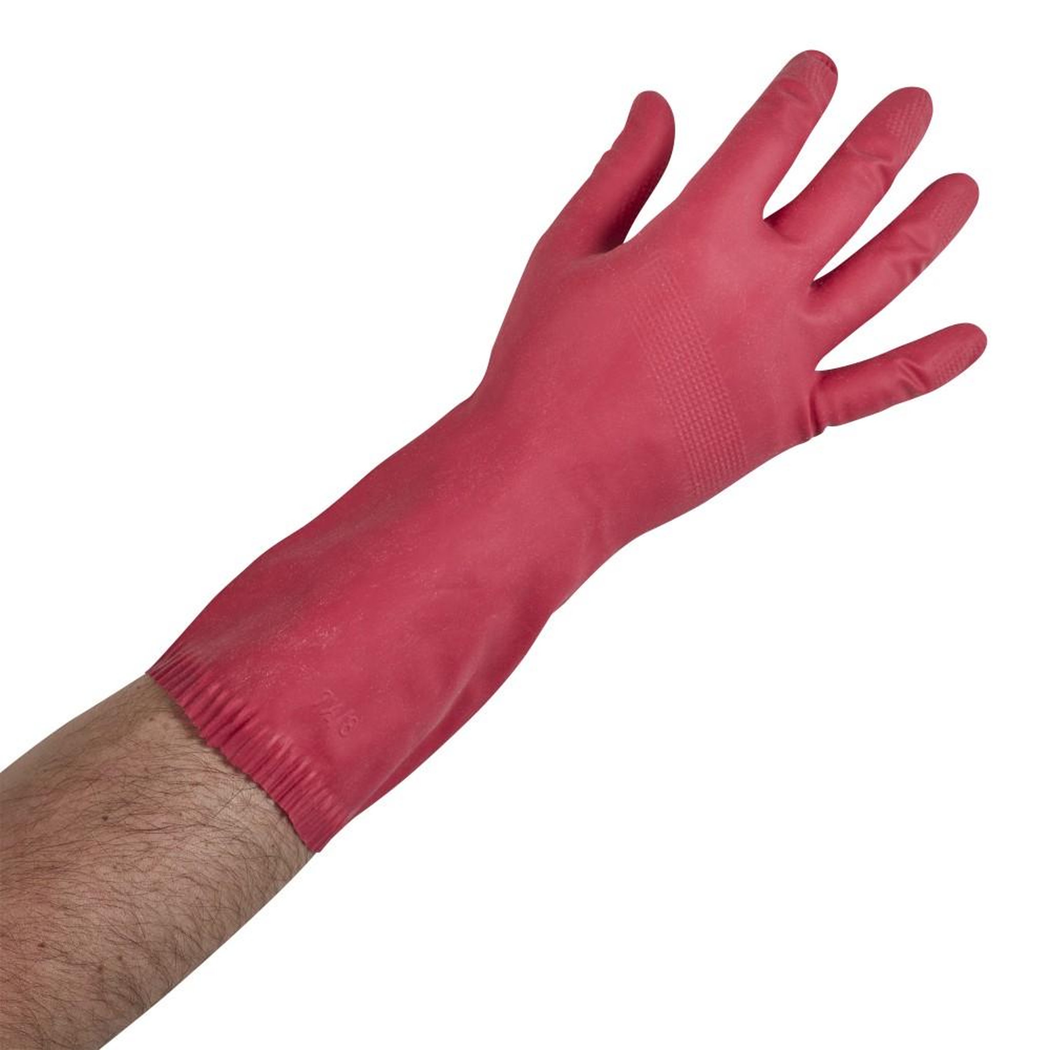 CENTRALE BRICO Gants nettoyage quotidien SPONTEX EXPERT, taille S