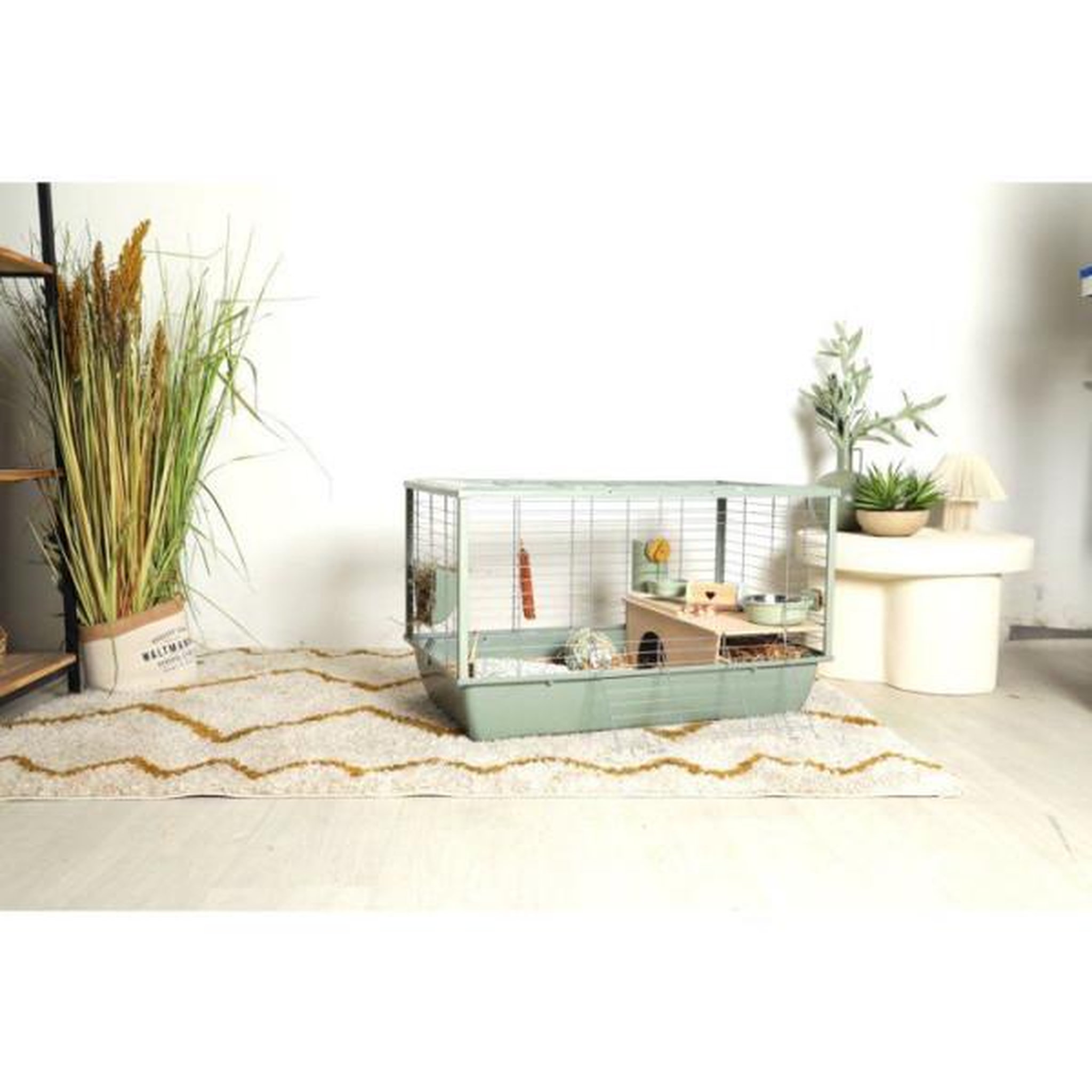 Voir la diapositive 3 : Zolux ZOLUX Cage grillagée cochon d'inde et rongeur Néolife - 80 x 52,5 x 48 cm - Vert