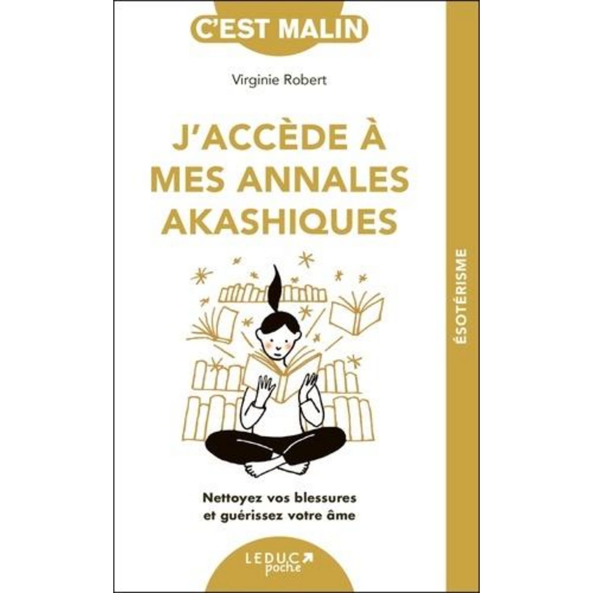 J'ACCEDE A MES ANNALES AKASHIQUES. NETTOYEZ VOS BLESSURES ET GUERISSEZ VOTRE AME, Robert Virginie