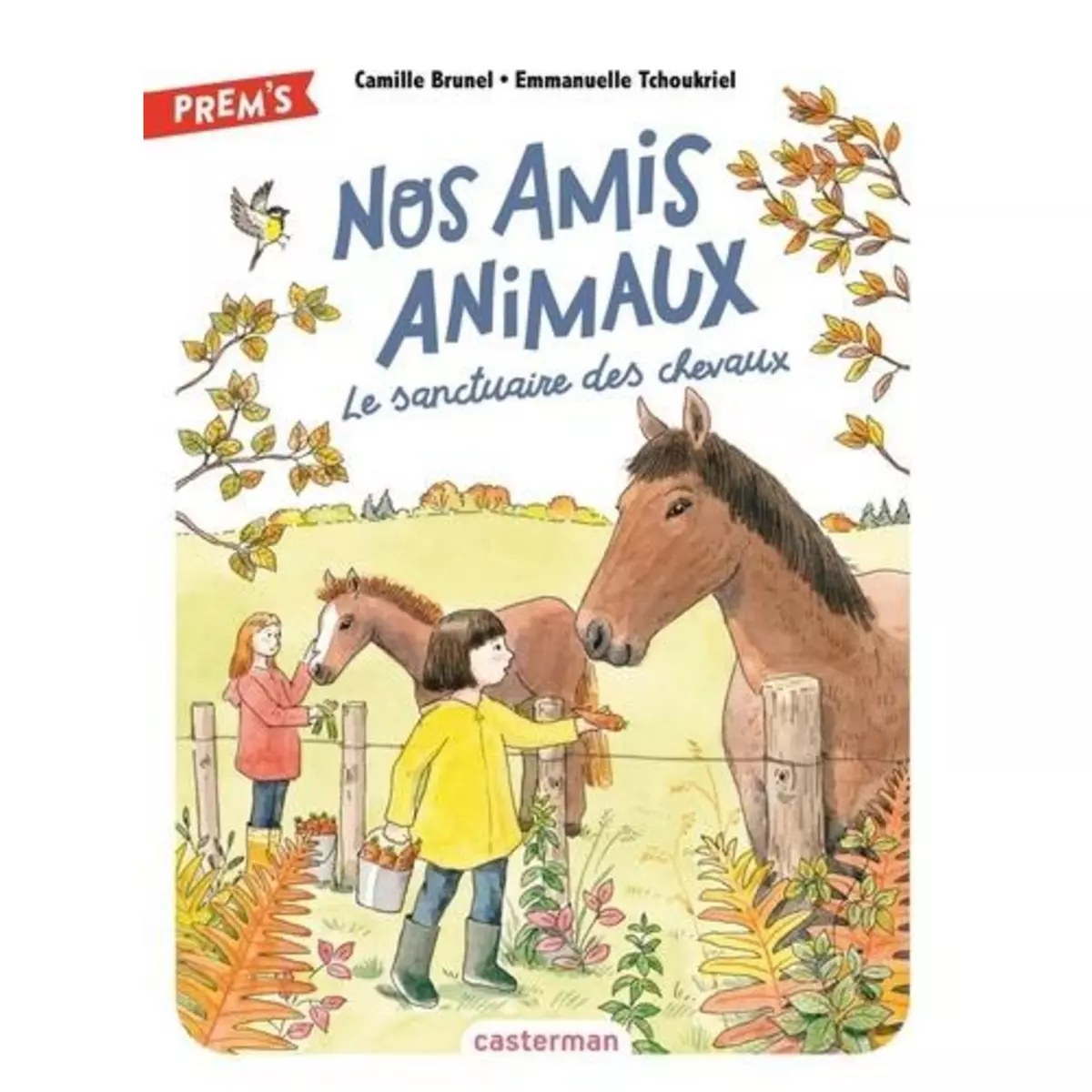  NOS AMIS ANIMAUX TOME 3 : LE SANCTUAIRE DES CHEVAUX, Brunel Camille
