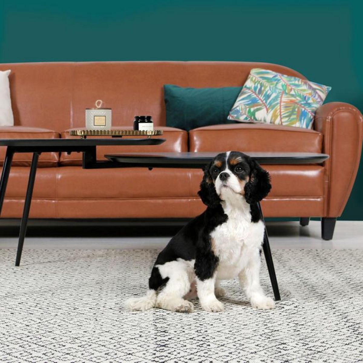 Rendez vous déco Canapé 3 places marron en croute de cuir enduite - Club